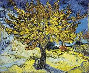 Vincent Van Gogh Mulberry Tree china oil painting reproduction